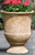 Urn - Wentworth Plain L