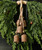 Bells - Cow On Rope Rust