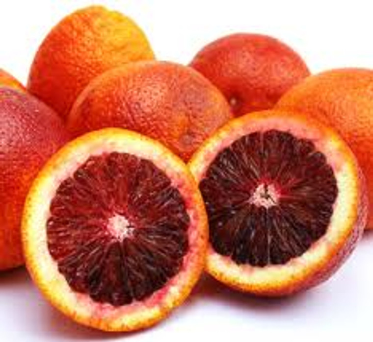 Citrus 'Orange Blood' 4.7L