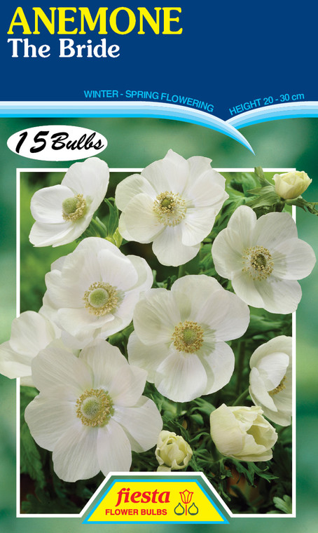 Anemone 'The Bride'