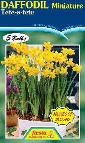 Daffodil 'Tete -A-Tete' 5