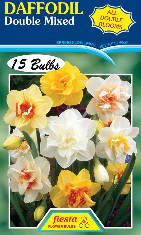Daffodil - Double Mixed 15