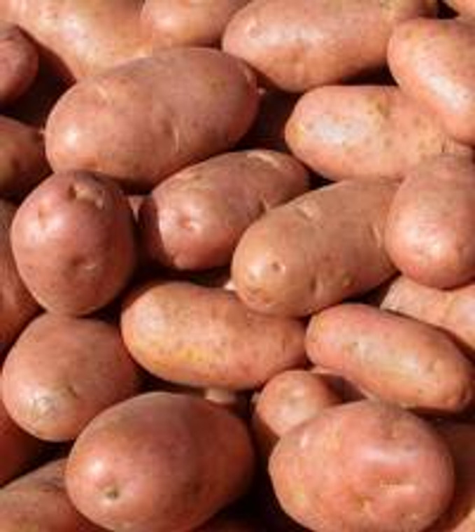 Seed Potato - Desiree 3kg