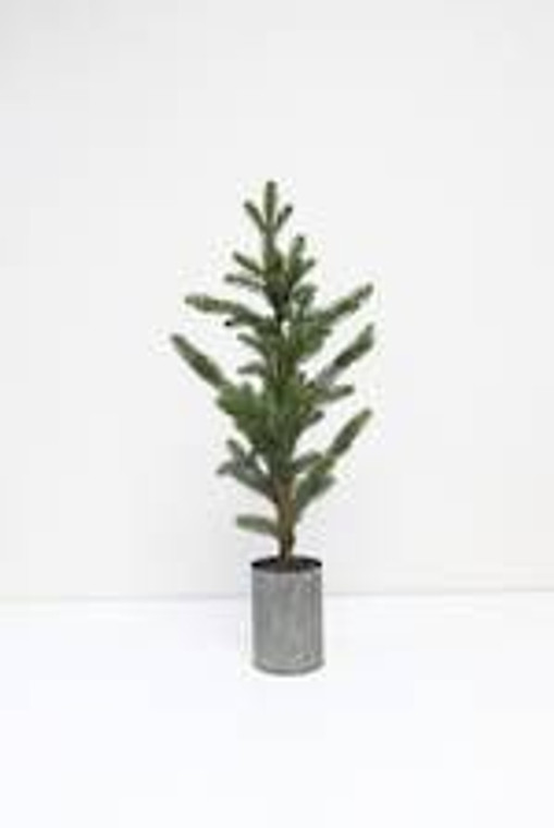 Christmas - Pine Tree In Pot 6