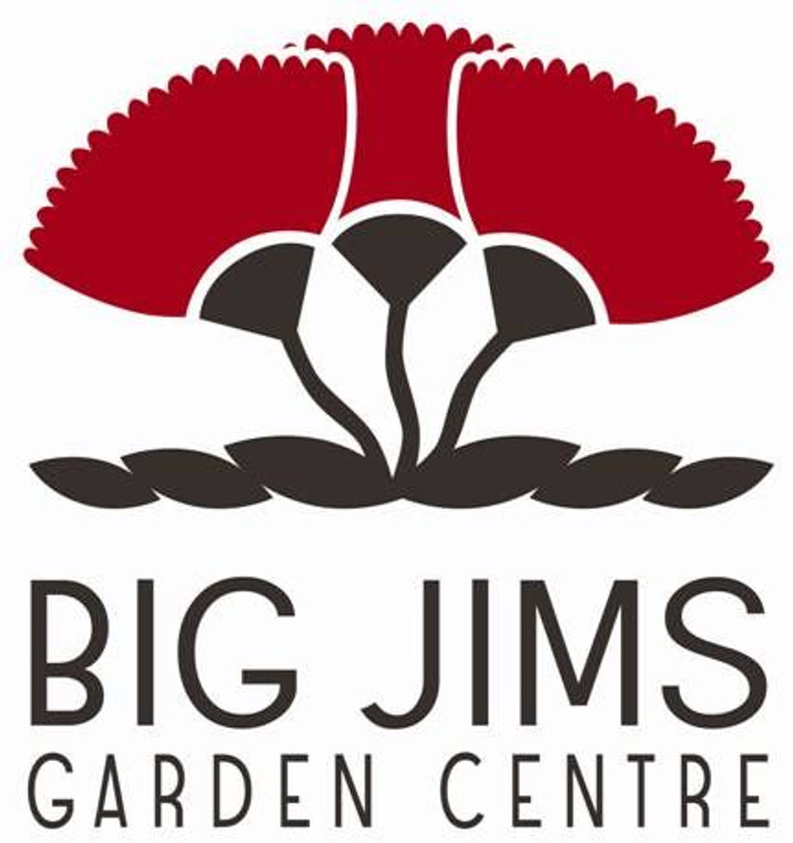 Hosta 'Emerald Ruff Cut' 2.5L