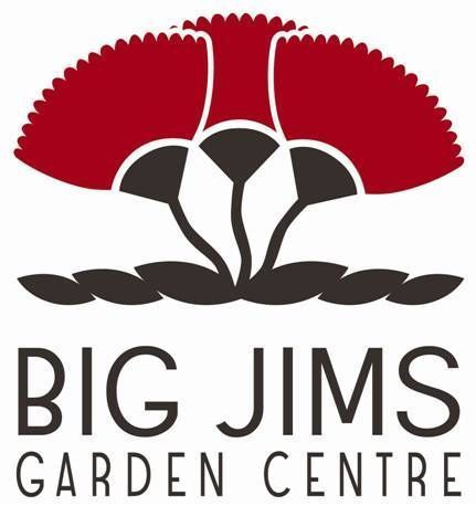 Protea 'Spotted Mink' 3.3L