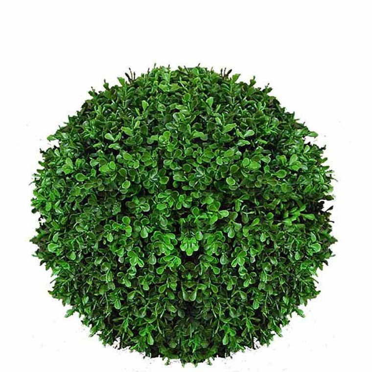 Boxwood Ball - Large 33cm