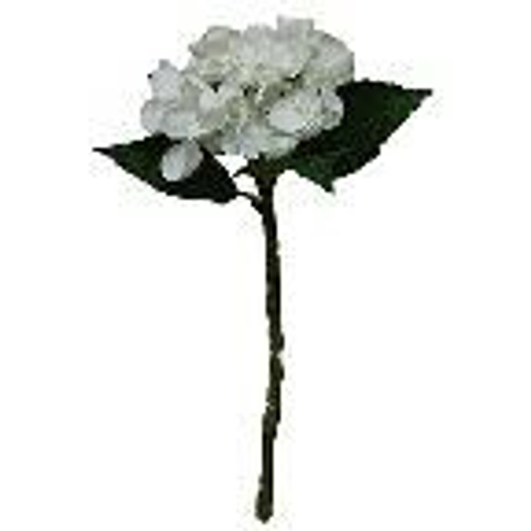 Hydrangea - Pick White