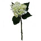 Hydrangea - Pick Cream & Mint