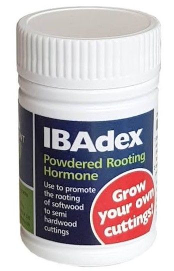 Ibadex Rooting Hormone 25gm