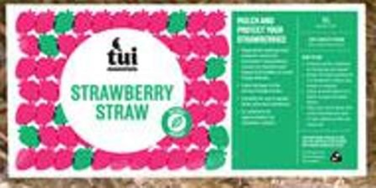 Tui Strawberry Straw 5L