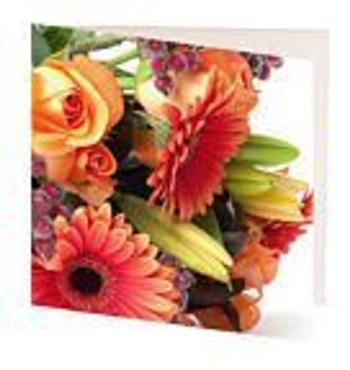 Gift Card - Mini Assorted 7cm