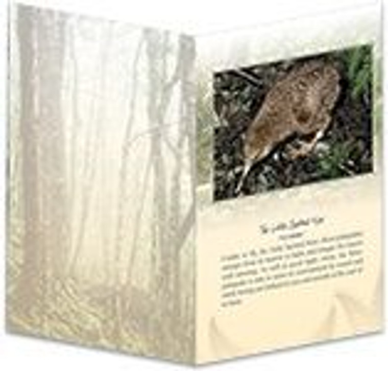 Card - Little Spotted Kiwi