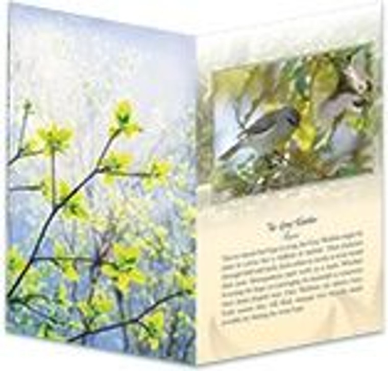 Card - Grey Warbler