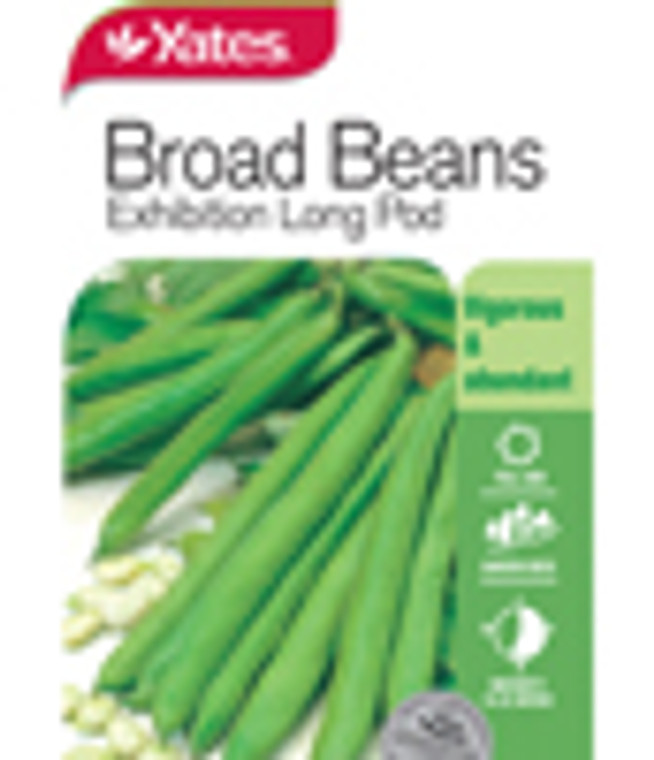 Yts Beans Broad Exhib/Long Pod