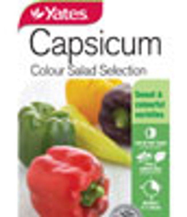 Yts Capsicum Colour Salad - 2