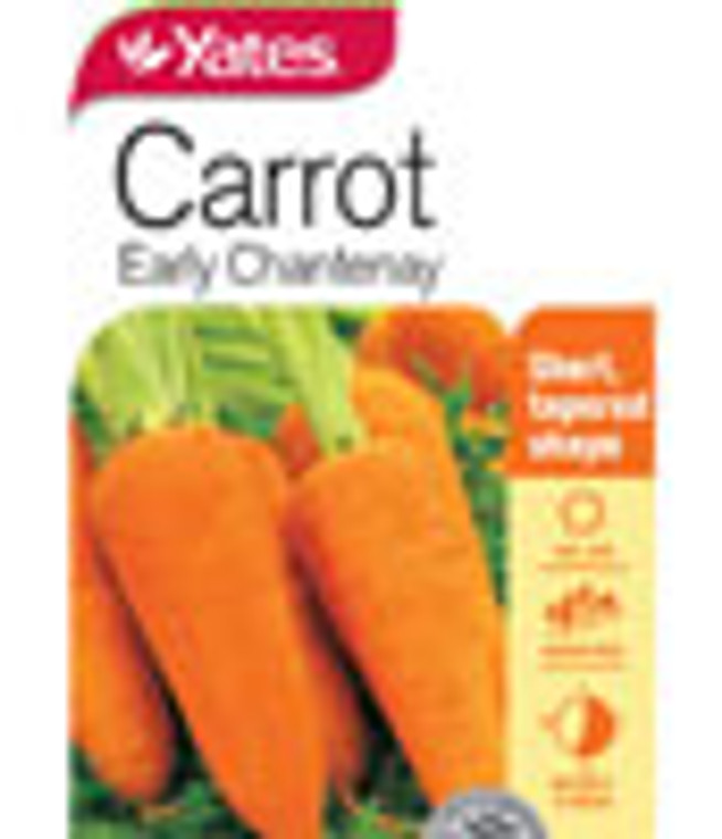 Yts Carrot Early Chantenay - 1