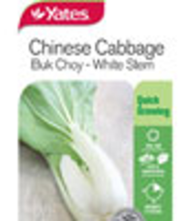 Yts Chinese Cabbage Buk Choy-1