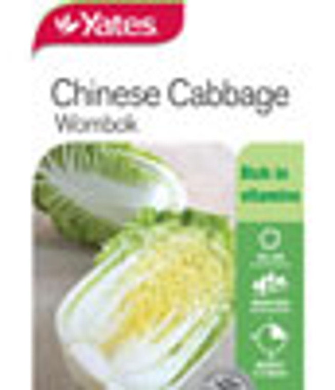 Yts Chinese Cabbage Wong Bok-1