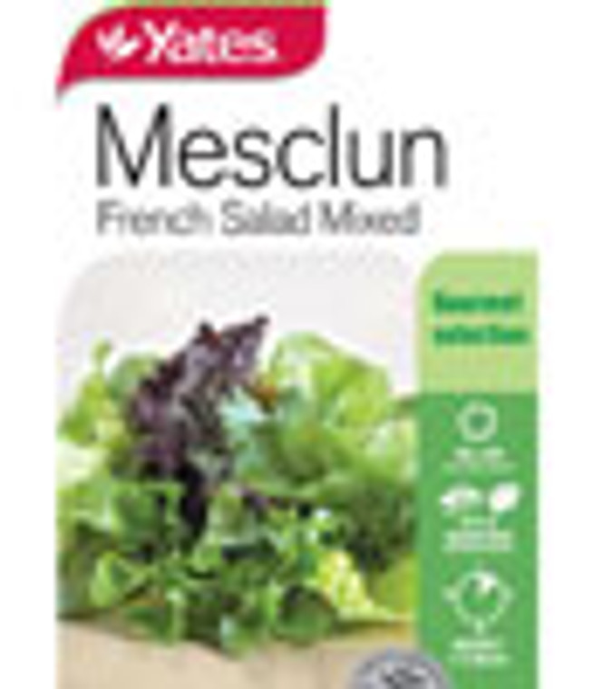 Yts Mesclun French Salad - 2
