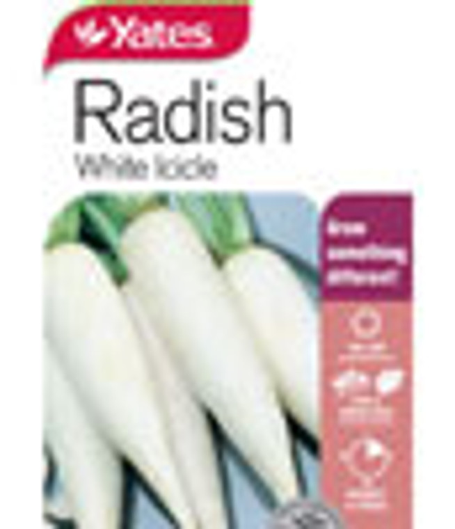 Yts Radish White Icicle - 2