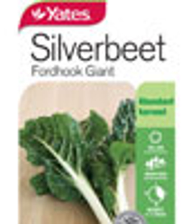 Yts Silverbeet Fordhook - 1