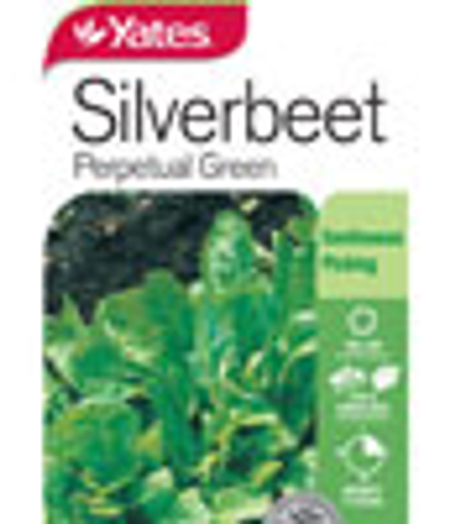 Yts Silverbeet Perpetual - 1