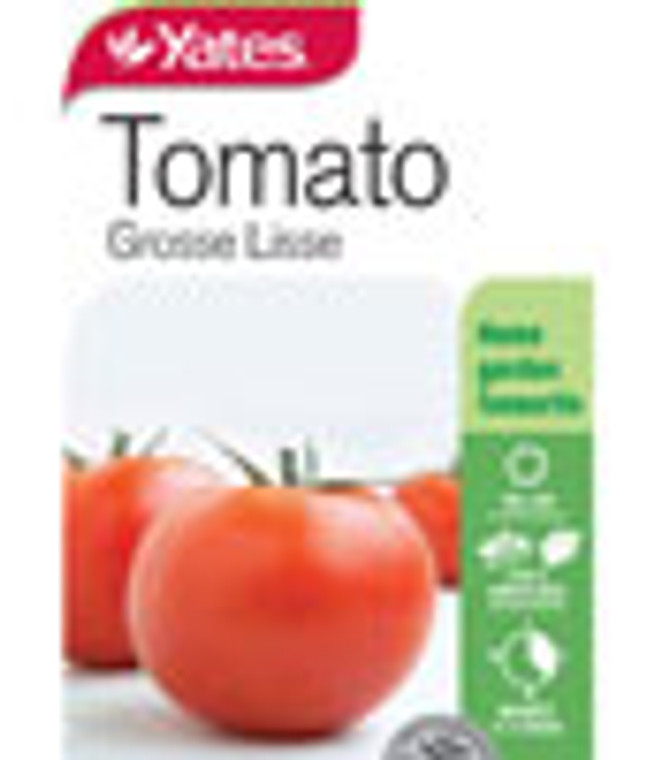 Yts Tomato Grosse Lisse - 1