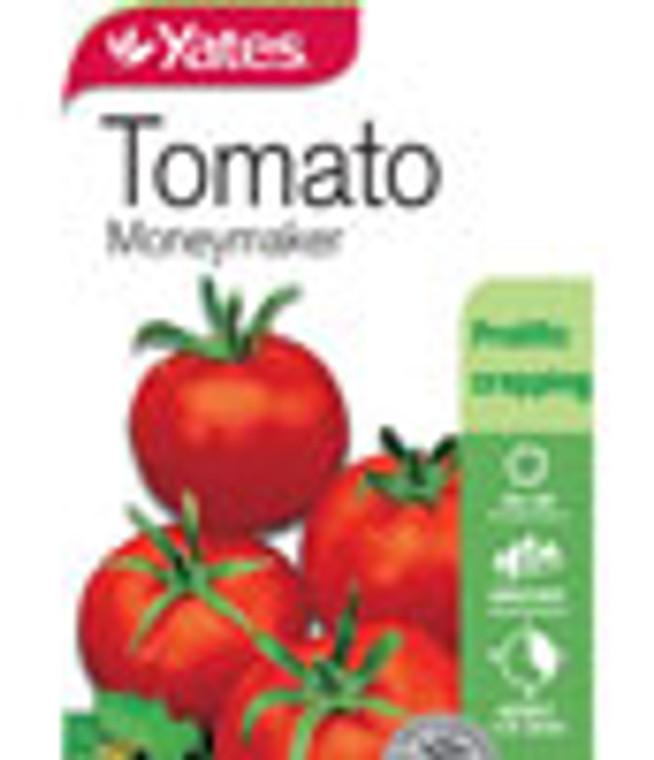 Yts Tomato Moneymaker - 1