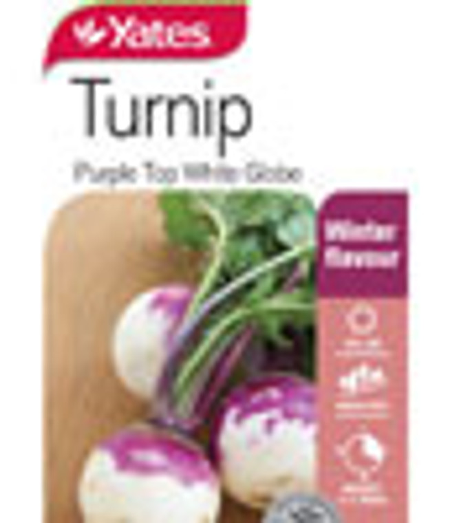 Yts Turnip Pur Top Wht Gloe 1