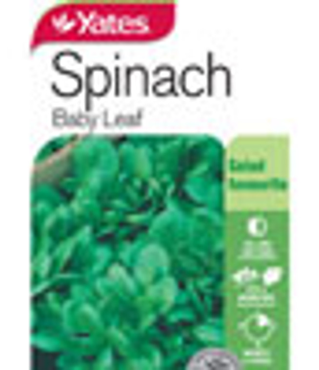 Yts Spinach Baby Leaf - 1