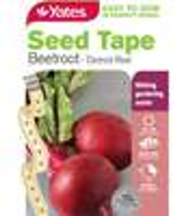 Yts Beetroot Detroit Red Seed