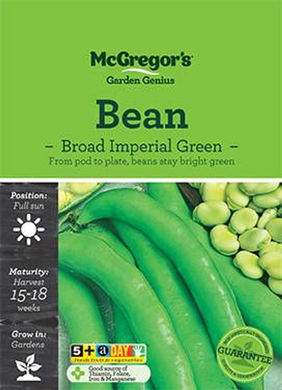 MG Beans Broad Imperial Green