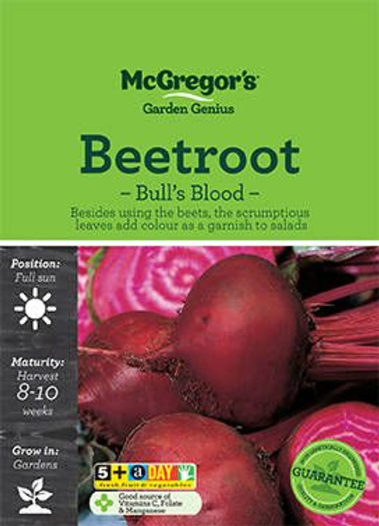 MG Beetroot Bullsblood