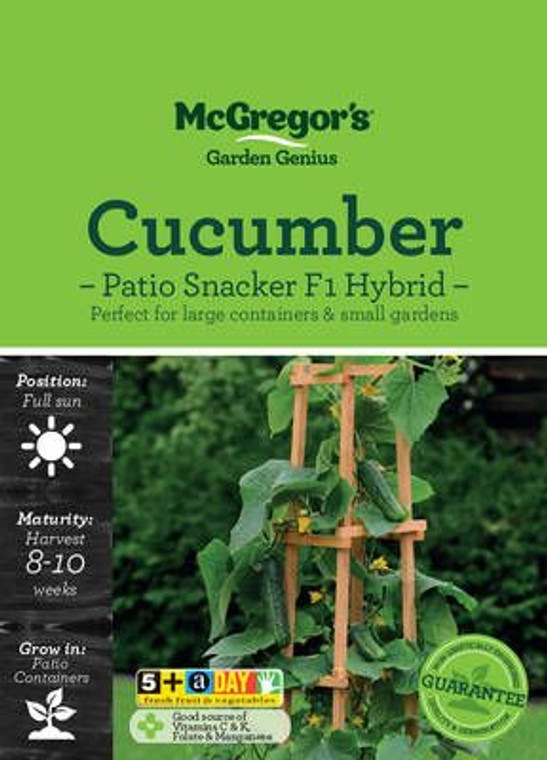 MG Cucumber Patio Snacker