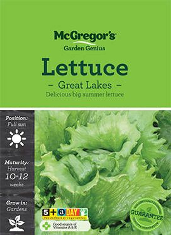 MG Lettuce Great Lakes