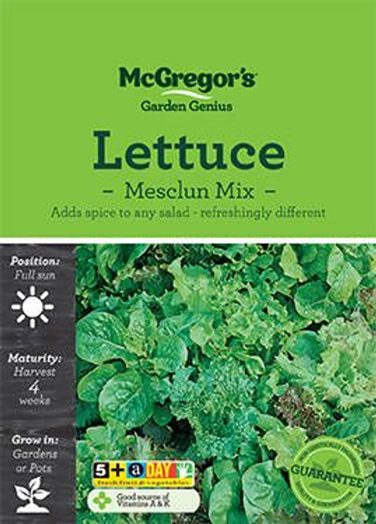 MG Lettuce Mesculun Mix