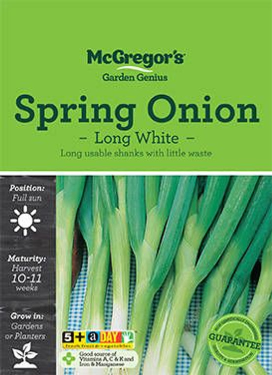 MG Spring Onion Long White