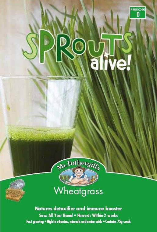 MF Wheatgrass Sprouts D