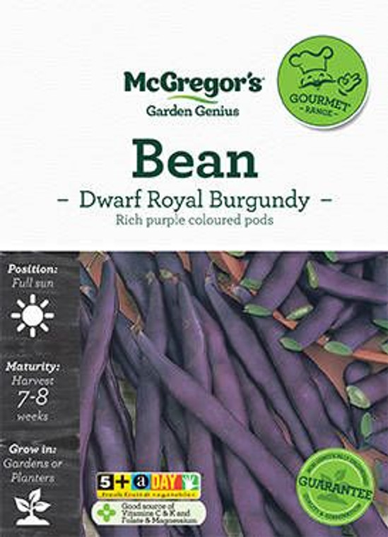 MG G Bean Royal Burgundy