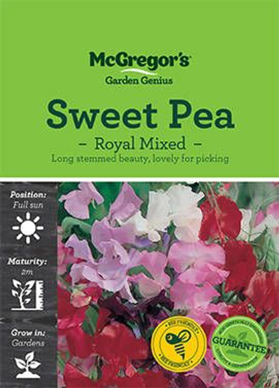 MG Sweet Pea Royal Mixed
