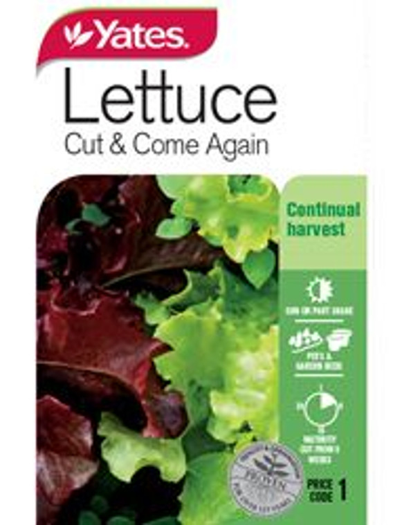 Yts Lettuce Cut & Come Again -