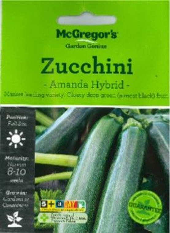 MG Zucchini Amanda F1