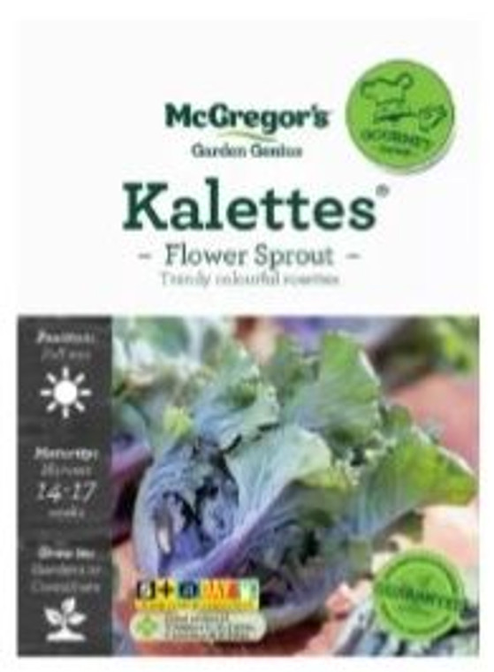 MG G Kalettes Flowers Sprout