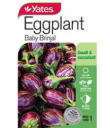 Yts Eggplant Mini Brinjal - 1