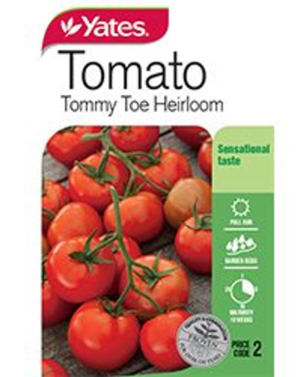 Yts Tomato Tommy Toe - 2