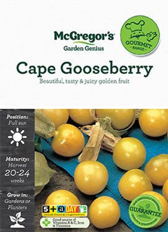 MG G Cape Gooseberry