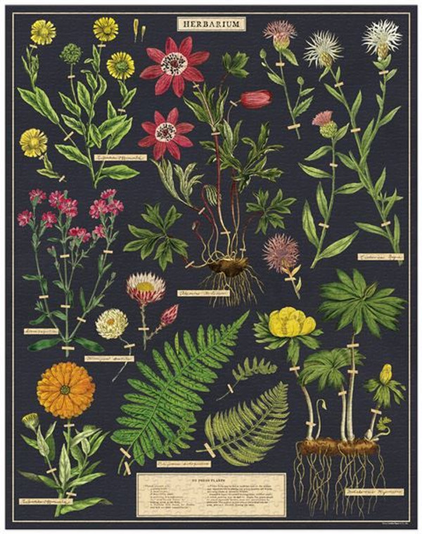 Puzzle - Herbarium Vintage