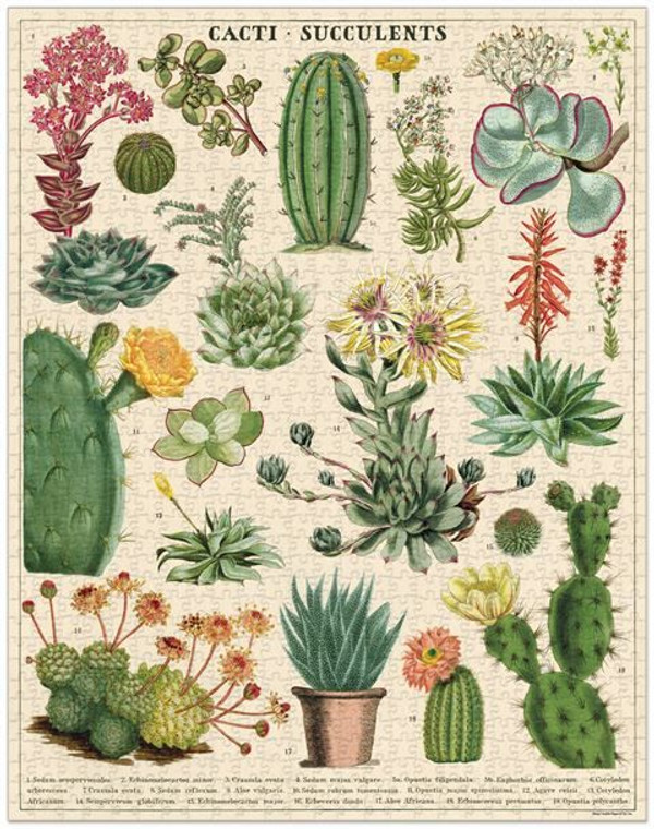 Puzzle - Cacti & Succulents Vi