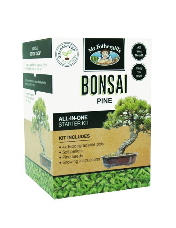 Bonsai Kit - Pine